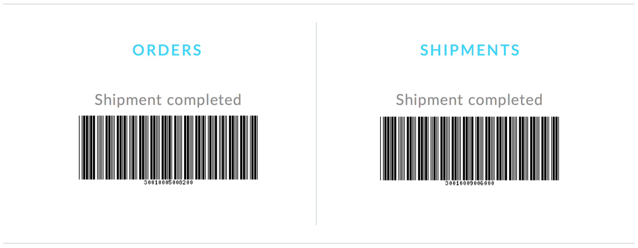 Packing slip barcodes example.