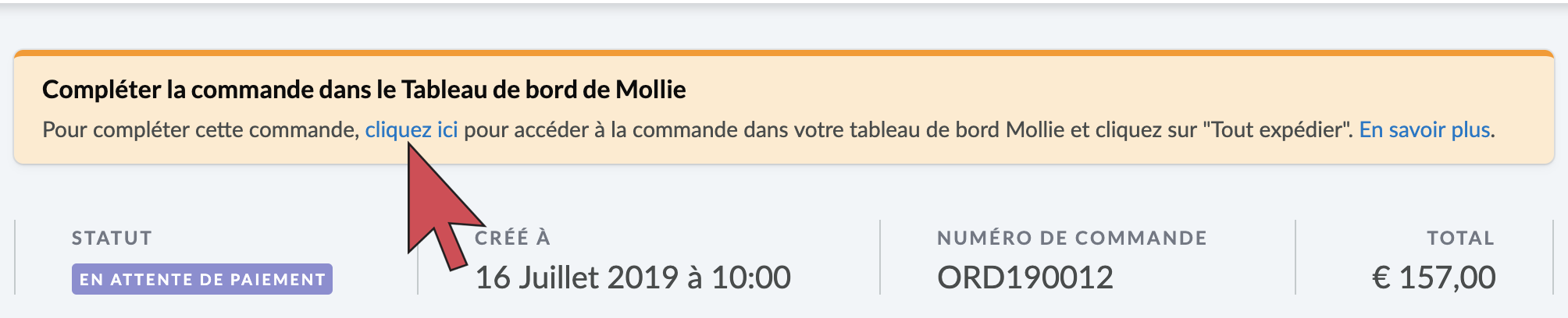 Flèche pointant le lien dans la notification dans le haut de la page de commande.